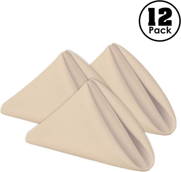 Cloth Napkins - 17 x 17 Inch Beige Dinner Napkins - Set of 12 Soft & Absorbent Washable Fabric Cloth Table Napkins with Hemmed Edges for Hotel Restaurant, Holiday Parties & Wedding