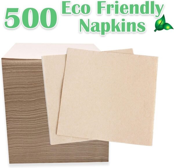 Recycled Post Consumer Napkins, Compostable Eco Lunch Biodegradable Napkins (13 x 13 Inches, 250, Count)